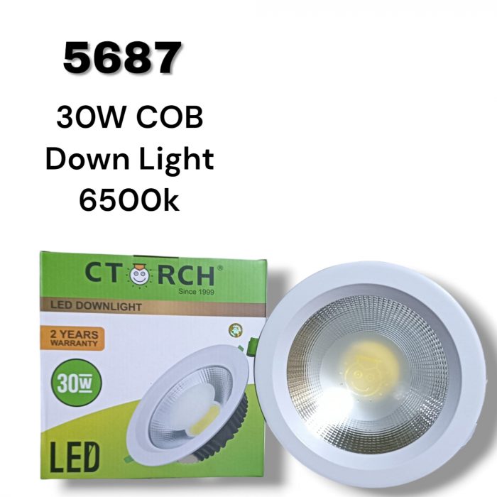 CTORCH 30W COB DOWNLIGHT