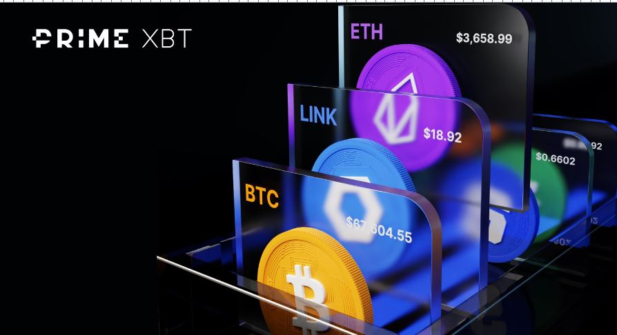 Mastering Your Trading Journey PrimeXBT Login